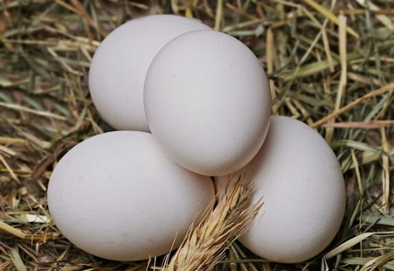 A dieta de ovos implica comer ovos de galiña todos os días. 